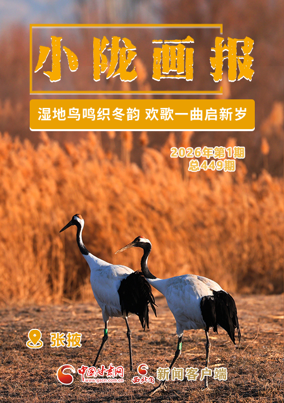 【小陇画报·449期】张掖：湿地鸟鸣织冬韵 欢歌一曲启新岁