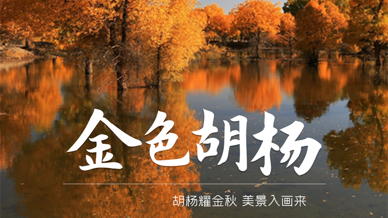 海报|解锁甘肃“美拉德”秋天的N种打开方式